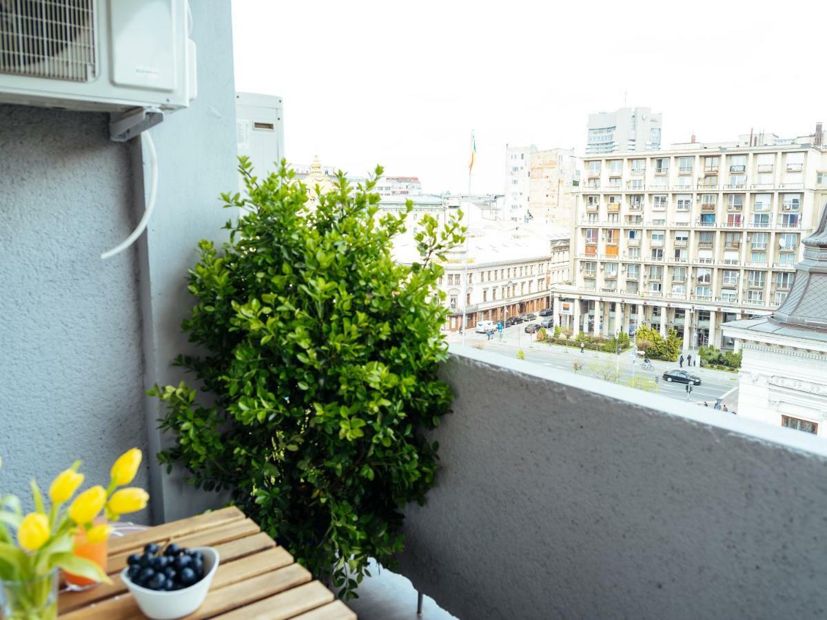 Amazing View - Top Location - Universitate Studio Bucareste Exterior foto